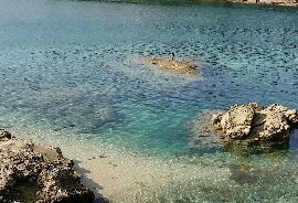 遠足～奥武島で魚釣り